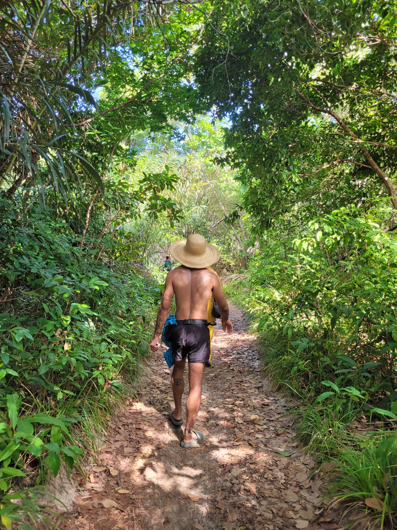 Ilha de Cotijuba
